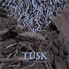 tusk