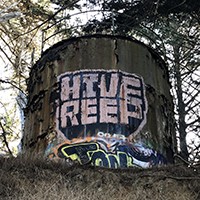 Hive Reep